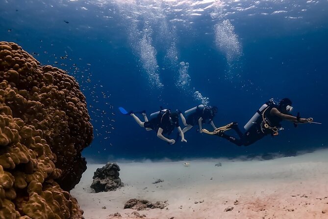 Explore Scuba Diving at Racha Yai Island from Phuket - MV Andaman Seafarer 1 or 2: Comfortable Boat Time, Not Just Transit