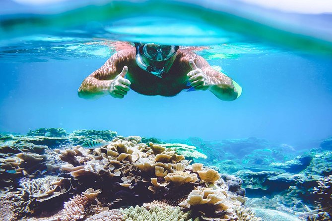 Explore Surin Islands: Ultimate Snorkeling Day Trip from Phuket - Boat-day comfort: group size and guide experience