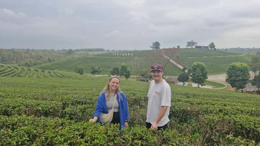 Explorer Border road and Nature ( Tea and Coffee ) - Driver-guide quality: what to expect with Thai/English