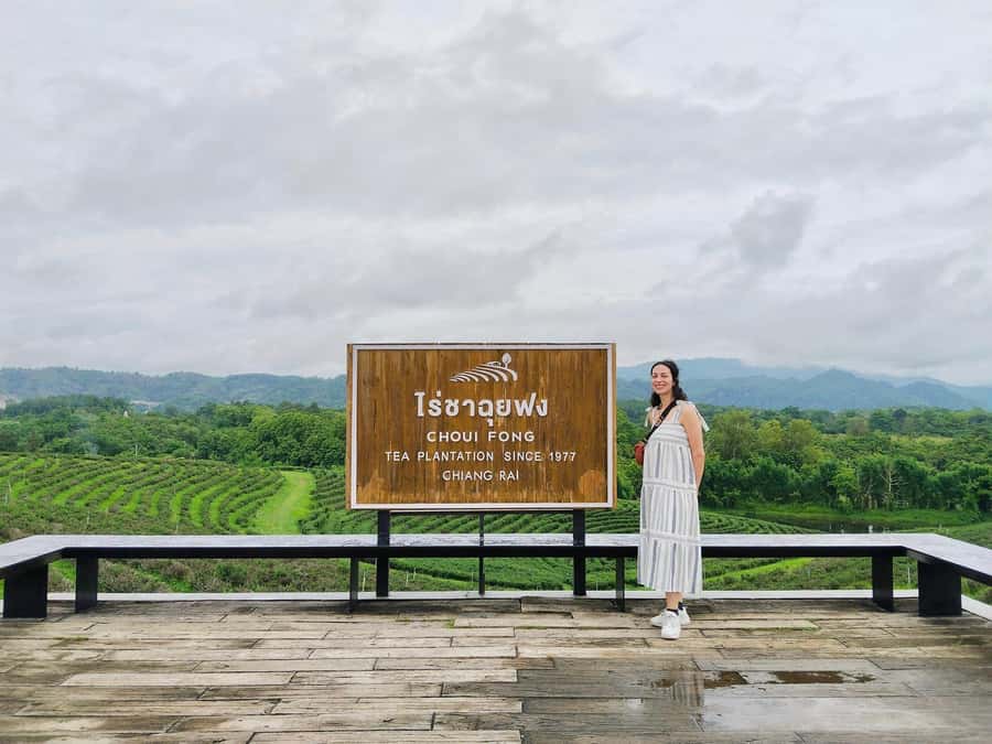 Explorer Border road and Nature ( Tea and Coffee ) - A border-road day around Chiang Rai that actually feels remote