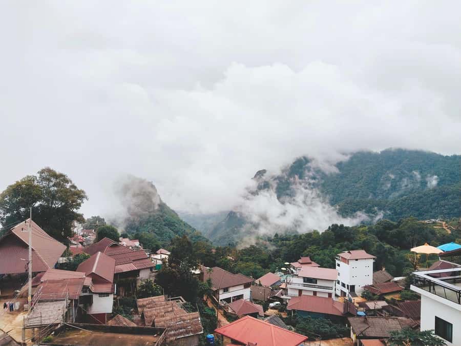 Explorer Border road and Nature ( Tea and Coffee ) - Price and value: why $144 per group can still make sense