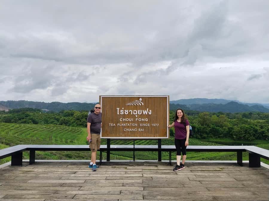 Explorer Border road and Nature ( Tea and Coffee ) - Choui Fong Tea Plantation: Oolong tastings with mountain air