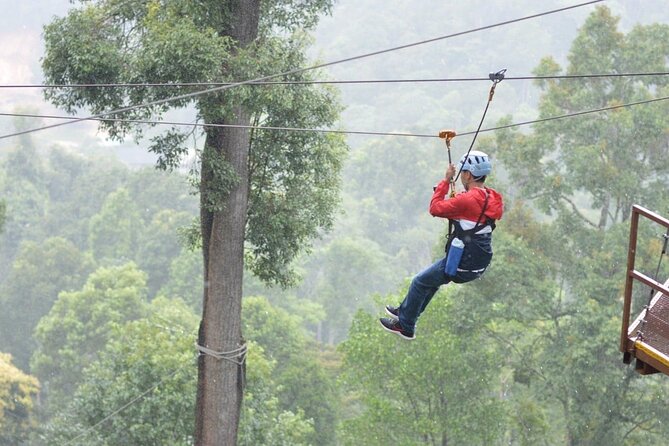 Extream Zipline @ Kingkong Smile and Dip in Hot Spring - A full-day thrill with a real Thai hot-spring payoff