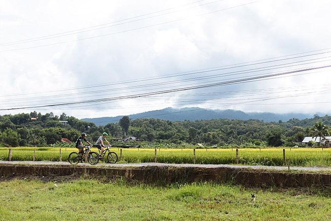 FIELDS OF GOLD Mountain Biking Tour Chiang Mai - Getting rolling at the Trailhead (and why the start matters)