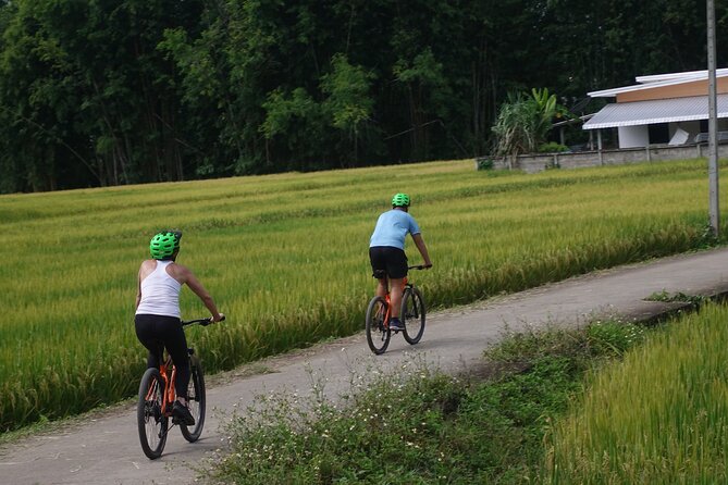 FIELDS OF GOLD Mountain Biking Tour Chiang Mai - Group size and the guide’s role in making it feel safe