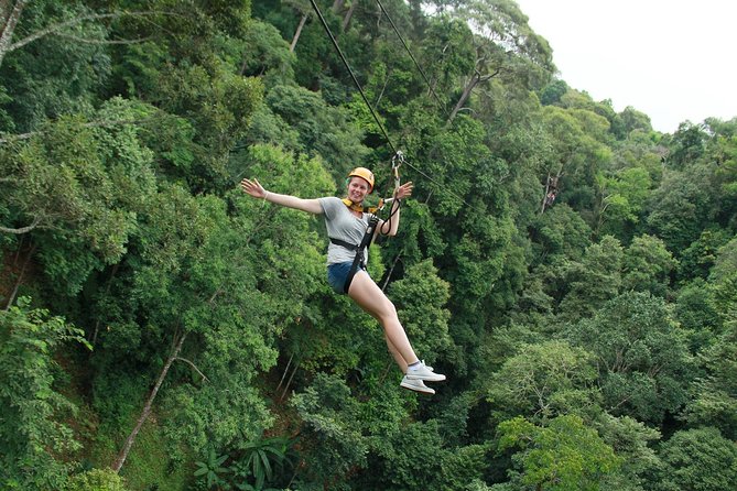 Flight of the Phoenix: Zipline Experience - Key things to know before you go