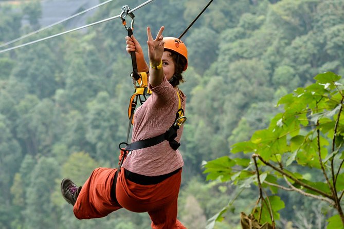 Flight of the Phoenix: Zipline Experience - Who this tour fits best: families, first-timers, and height rules
