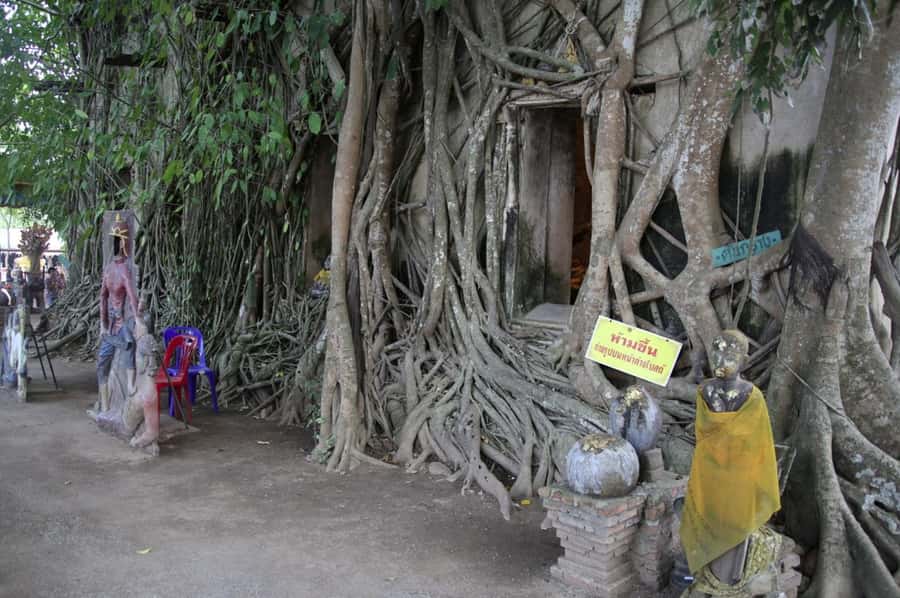 Floating Market Full-Day Bicycle Tour from Bangkok - The bike ride: quiet roads after the spectacle