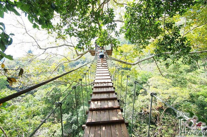 Flying Hanuman Zipline Adventure – Soar Through the Jungle! - Choosing Your Course: 16 vs 28 Platforms and Optional Treetop Time