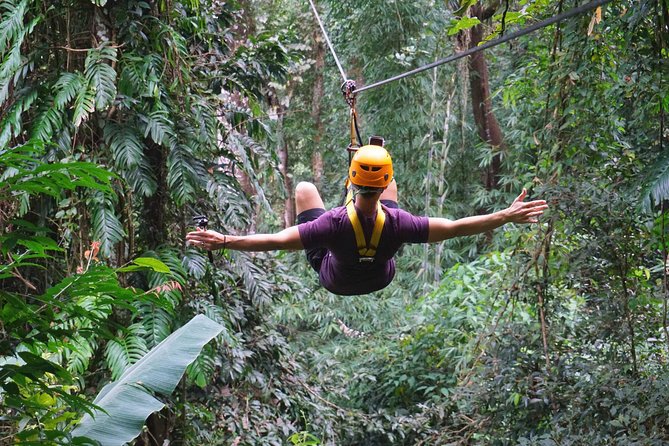 Flying Hanuman Zipline Adventure – Soar Through the Jungle! - Flying Hanuman: What to Expect During the Zipline Course