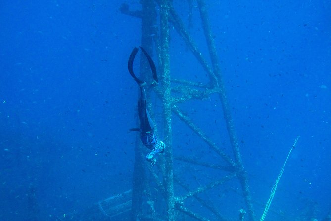 Freediver advanced (start at Koh Chang) - Key Highlights I’d Prioritize Before You Book