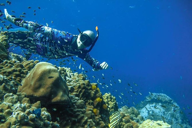 Freediver advanced (start at Koh Chang) - Ko Chang’s Advanced Freediver Course: What You’re Really Paying For