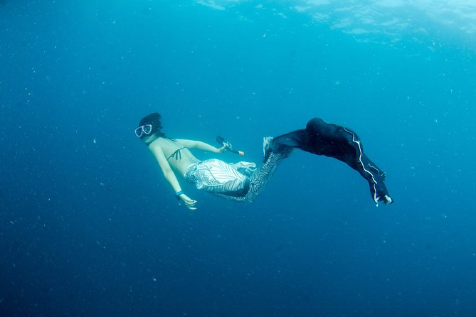 Freediver advanced (start at Koh Chang) - Stop 1: BB Divers and the Course Base That Keeps Things Smooth