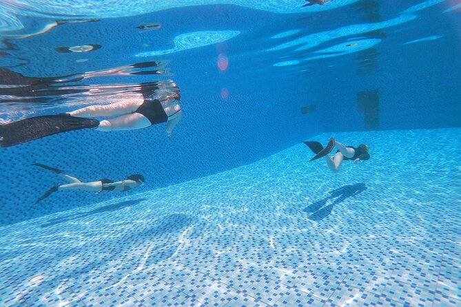 Freediving in Phuket - SSI - AIDA - Molchanovs - PADI - Certification Choice: PADI, SSI, AIDA, or Molchanovs—what you should consider
