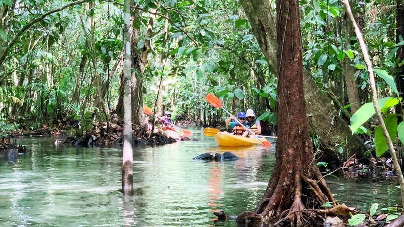 From Ao Nang: Kayaking at Klong Rud with Hotel Transfers - Key highlights worth knowing