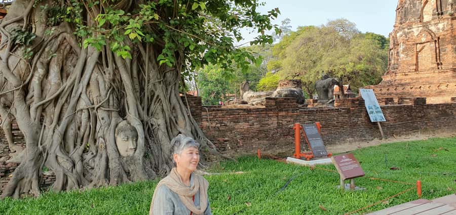 From Bangkok: Ayutthaya & Khao Yai National Park Day Trip - Price and value: what $221 buys you in a single day
