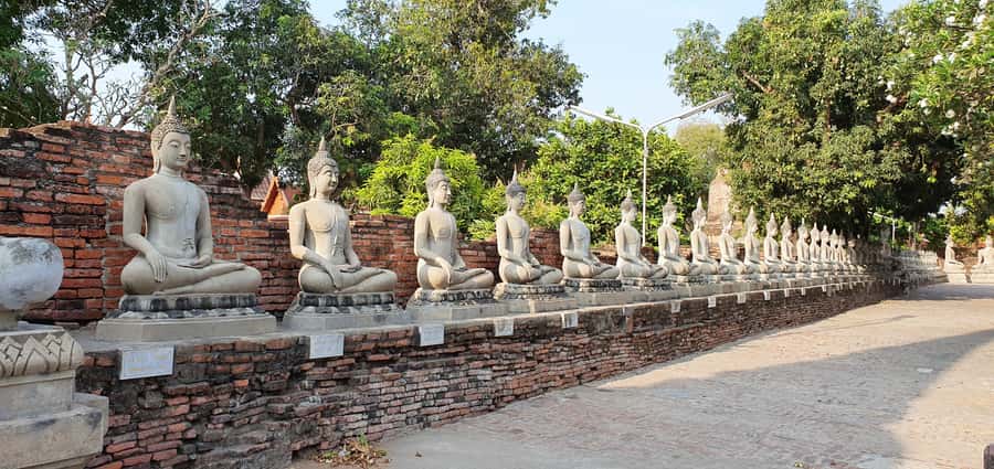 From Bangkok: Ayutthaya & Khao Yai National Park Day Trip - Wat Mahathat’s banyan tree head: etiquette and the best way to photo it