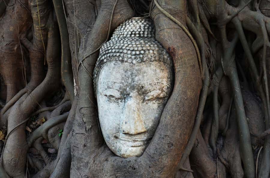 From Bangkok: Bang Pa-In Palace & Ayutthaya Private Trip - Dress code and comfort rules that can catch you off guard