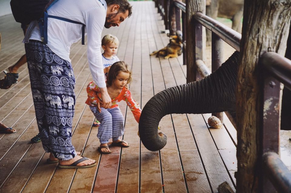 From Bangkok: ElephantsWorld Kanchanaburi 2-Day Experience - Planting fresh elephant snacks: learning by doing