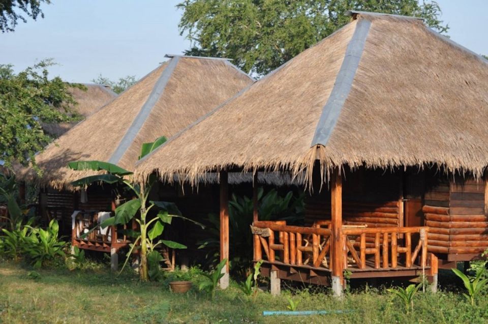 From Bangkok: ElephantsWorld Kanchanaburi 2-Day Experience - River bath time: scrubbing elephants in the cool of the day