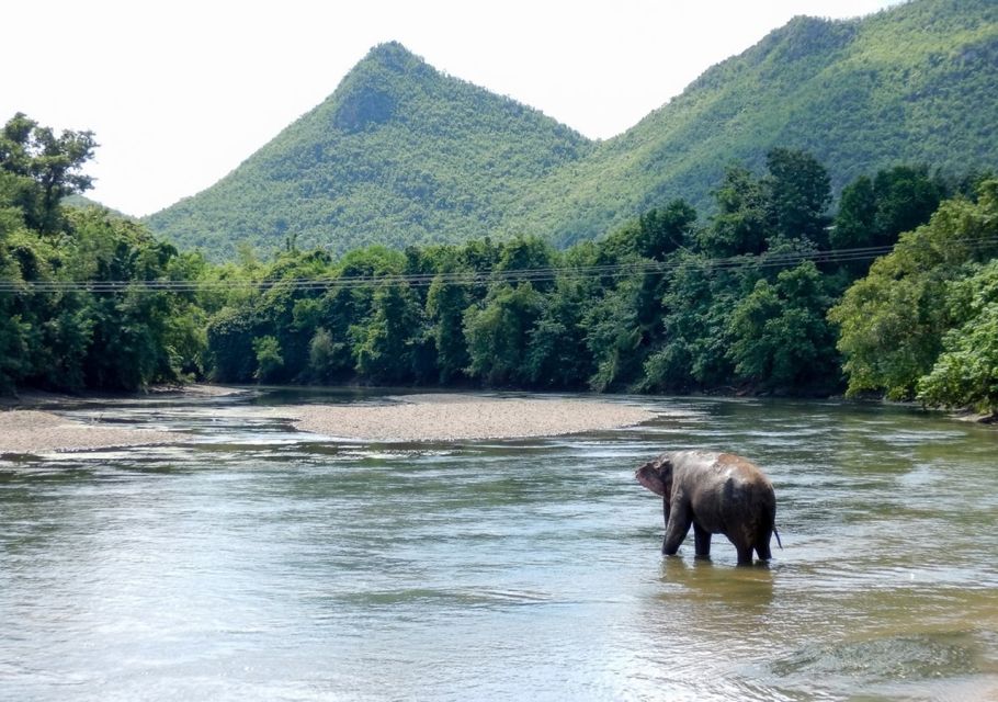 From Bangkok: ElephantsWorld Kanchanaburi 2-Day Experience - Thai-style cottage by the River Kwai: dinner, terrace views, and rest