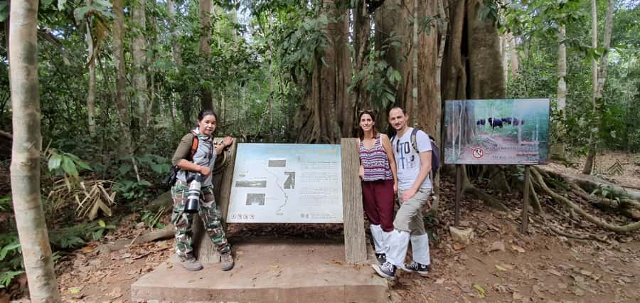 From Bangkok: Khao Yai National Park Jungle Trek with Lunch - Price and value: what you actually get for $181