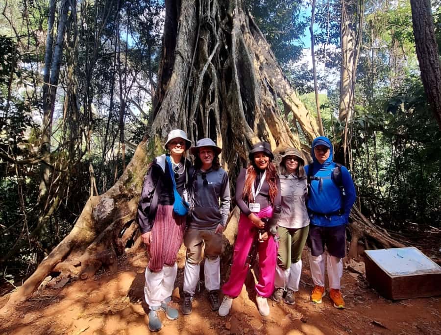 From Bangkok: Khao Yai National Park Jungle Trek with Lunch - Why a Bangkok-to-Khao Yai day trek is tougher than it sounds