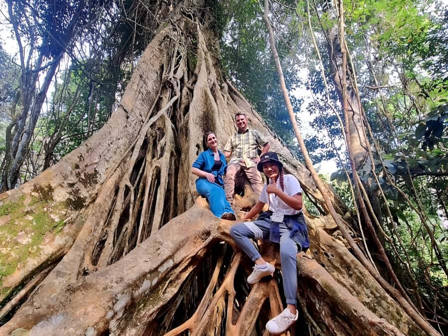 From Bangkok: Khao Yai National Park Jungle Trek with Lunch - Khao Yai Visitor Centre: use it to understand what you saw