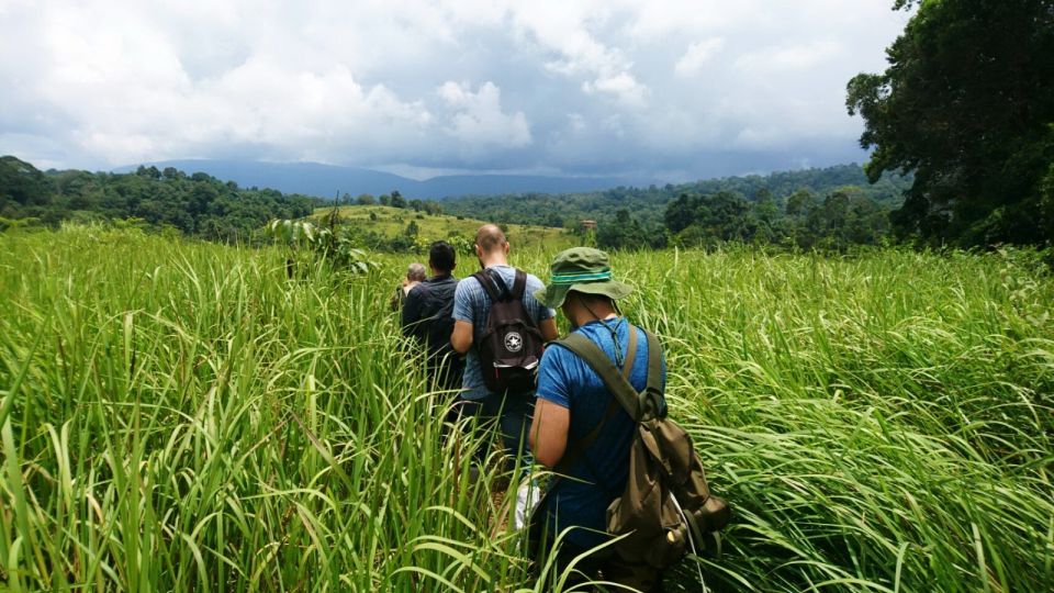 From Bangkok: Khao Yai National Park Jungle Trek with Lunch - Guides, wildlife chances, and why the details matter on the trail
