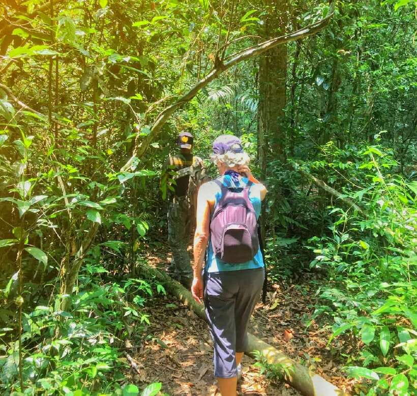 From Bangkok: Khao Yai National Park Small-Group Day Trip - A Bangkok escape that actually feels like nature