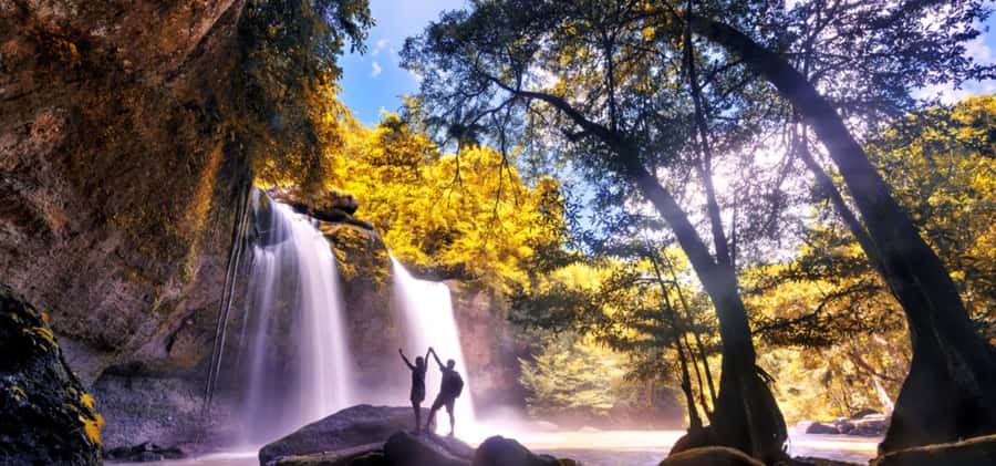 From Bangkok: Khao Yai Private Charter with Multiple Options - Khao Yai National Park: the big nature block