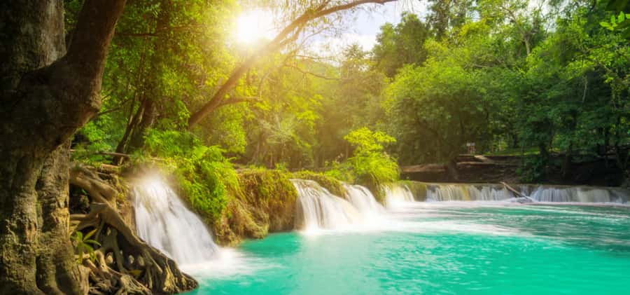 From Bangkok: Khao Yai Private Charter with Multiple Options - Chocolate, wine, and Italian-themed shopping breaks