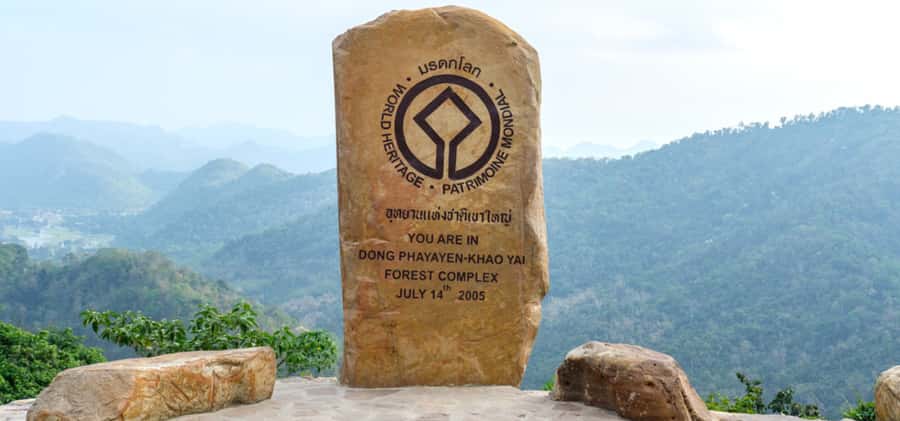 From Bangkok: Khao Yai Private Charter with Multiple Options - Food time where it actually fits: Primo Piazza and Krua Kampan