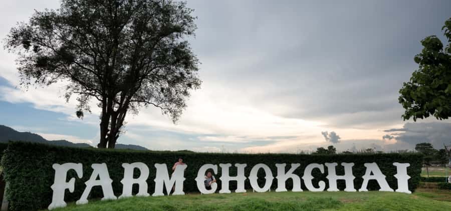 From Bangkok: Khao Yai Private Charter with Multiple Options - Pak Chong Night Market and Chokchai Farm: the evening energy