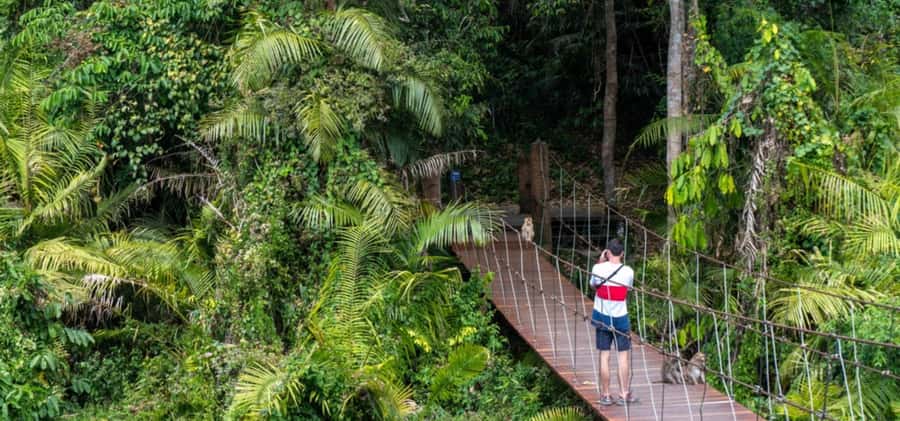 From Bangkok: Khao Yai Private Charter with Multiple Options - Building your own route with an experienced driver