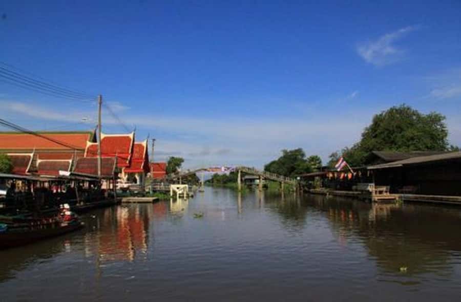 From Bangkok: Mahasawat Canal and farm with Lunch - Lotus Field Time: Paddle for Flowers and Wander Herbal Plots