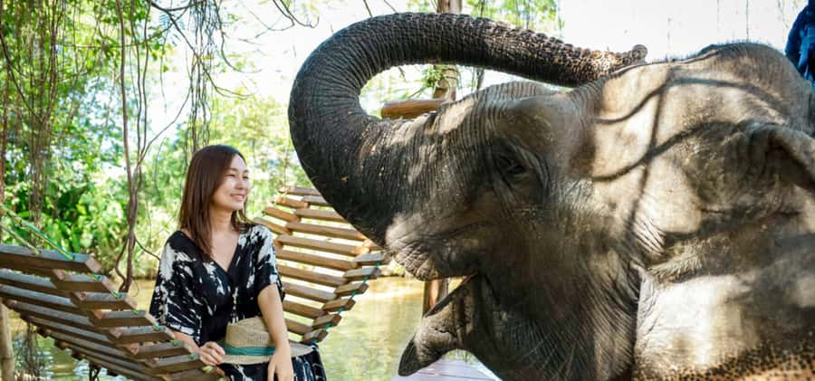 From Bangkok/Pattaya: Private Customized Pattaya Day Trip - Coral Island: the “day out of Pattaya” feeling
