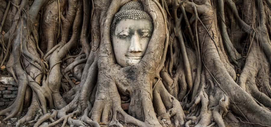 From Bangkok: Private Guided Ayutthaya Day Tour - What to Bring, What to Skip, and How to Dress