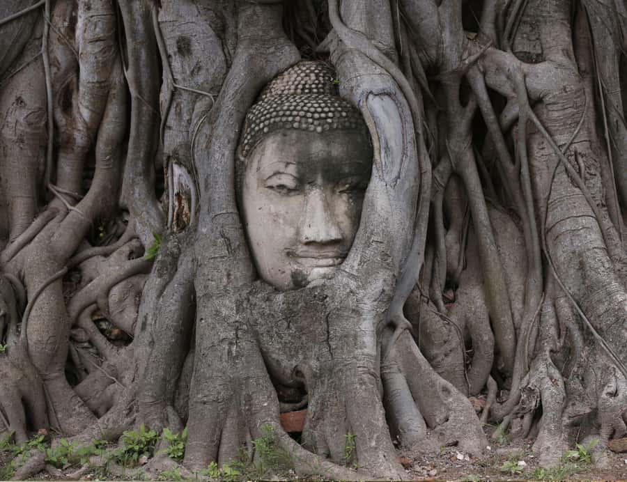From Bangkok: Private Guided Tour of Ayutthaya’s 6 Temples - Bangkok pickup and the road north in a private SUV