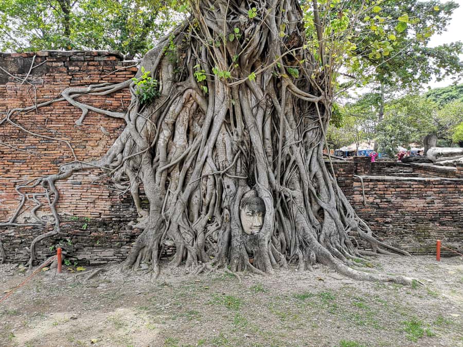 From Bangkok: Private Tour to Ayutthaya & Summer Palace - Ayutthaya Historical Park: Wat Phra Si Sanphet and the Big-Name Views