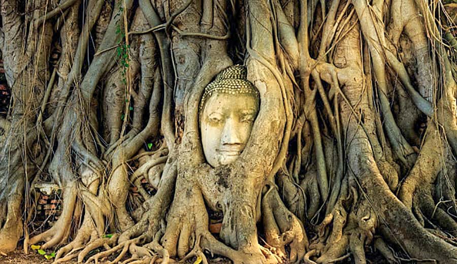 From Bangkok: Tour Ayutthaya + Lunch + Spanish guide - Wat Niwet Thammaprawat: the western-style curveball