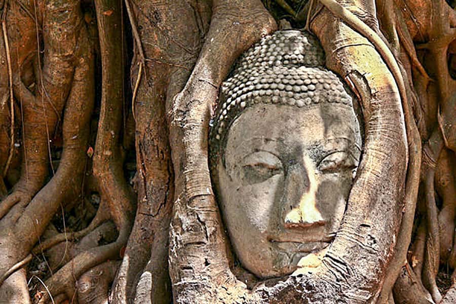 From Bangkok: Tour Ayutthaya + Lunch + Spanish guide - Wat Chaiwatthanaram to close the day: a strong visual finale