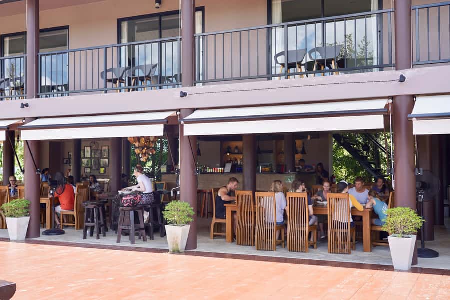 From Bangkok: Wildlife Rescue and Elephant Rescue Tour - Lunch with a View: Thai Buffet That Actually Fits Real Diets
