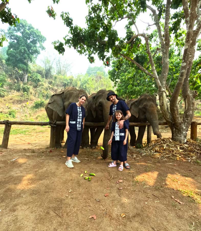From Chiang Mai: Chiang Mai Elephant Care Morning Program - Walking, watching, and learning what elephants do when nobody’s rushing