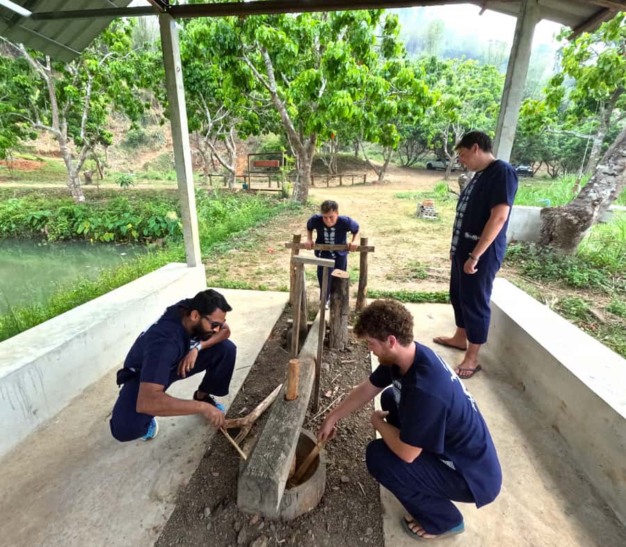 From Chiang Mai: Chiang Mai Elephant Care Morning Program - Lunch after the elephants: homemade, included, and easy to enjoy