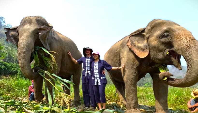 From Chiang Mai: Chiang Mai Elephant Care Morning Program - Price and value: why $54 can feel fair here