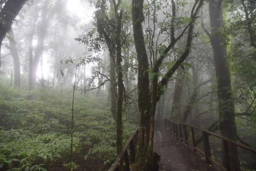 From Chiang Mai: Doi Inthanon National Park Day Trip - From Chiang Mai to cool mountain air: how the day flows