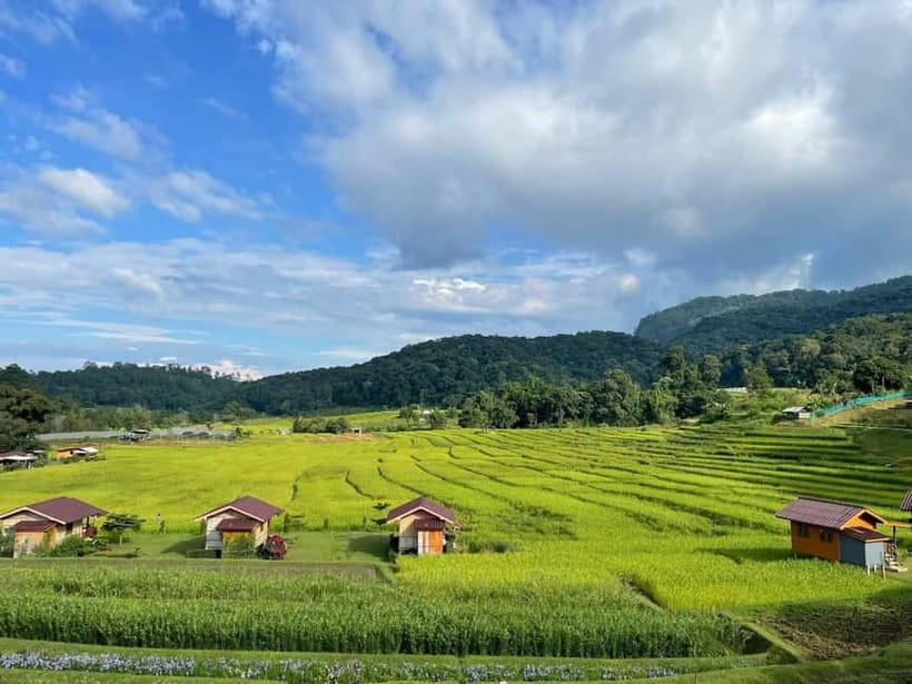 From Chiang Mai: Doi Inthanon National Park Day Trip - Mae Klang Luang Karen village lunch: terraced views and organic coffee culture