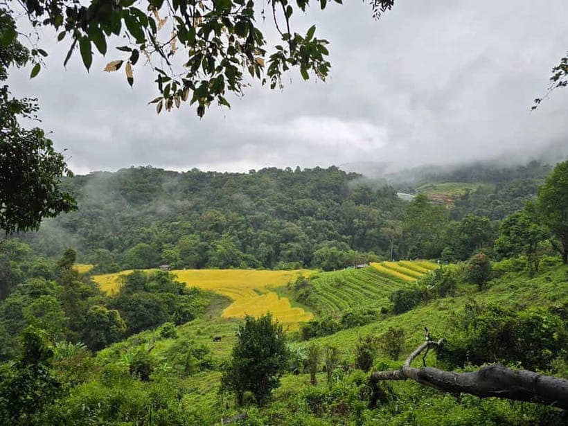 From Chiang Mai: Doi Inthanon National Park Day Trip - Wachirathan Waterfall: the granite drop and rainbow spray