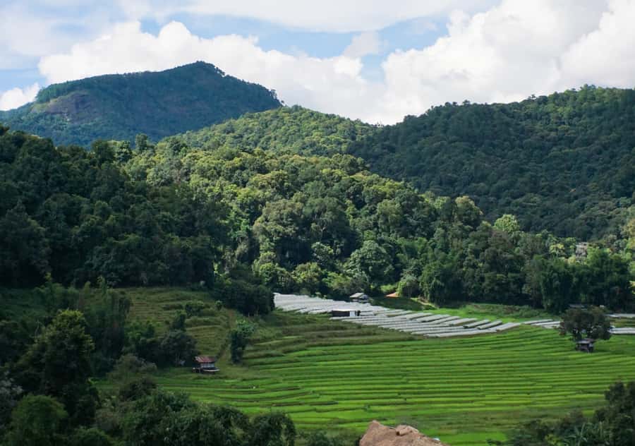 From Chiang Mai: Doi Inthanon National Park Day Trip & Hike - The drive up: comfort, timing, and why it matters